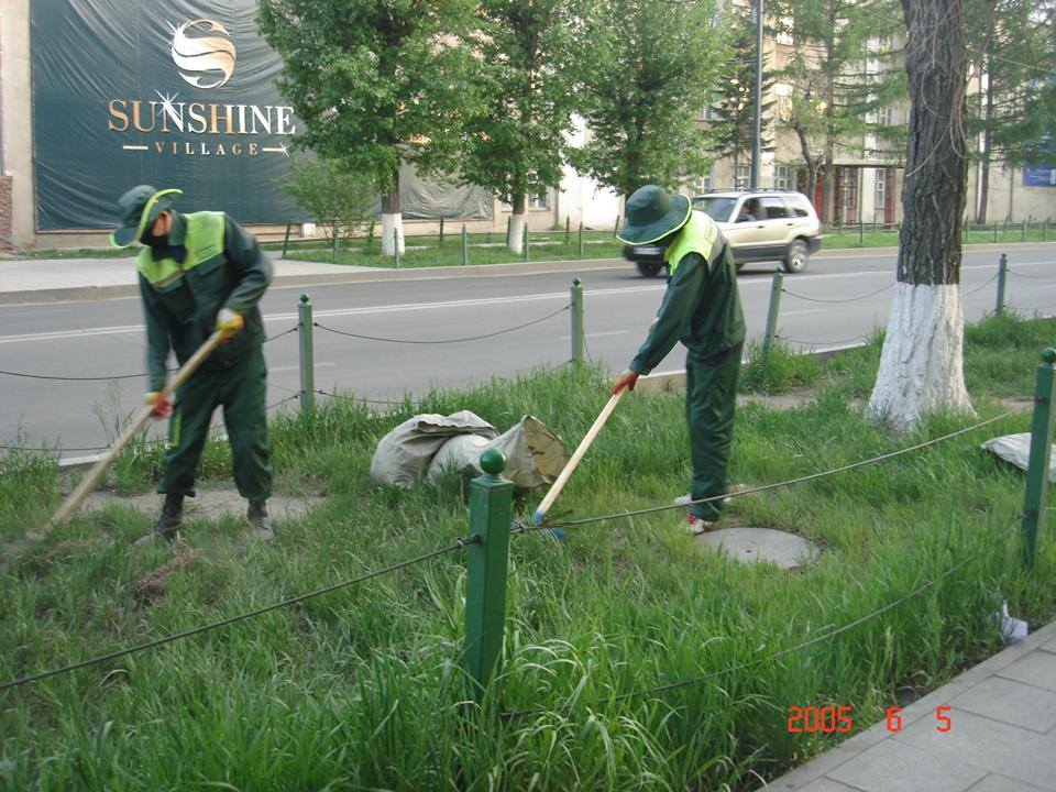 Залуучуудын өргөн чөлөө цэцгэн дээлээ нөмрөх нь